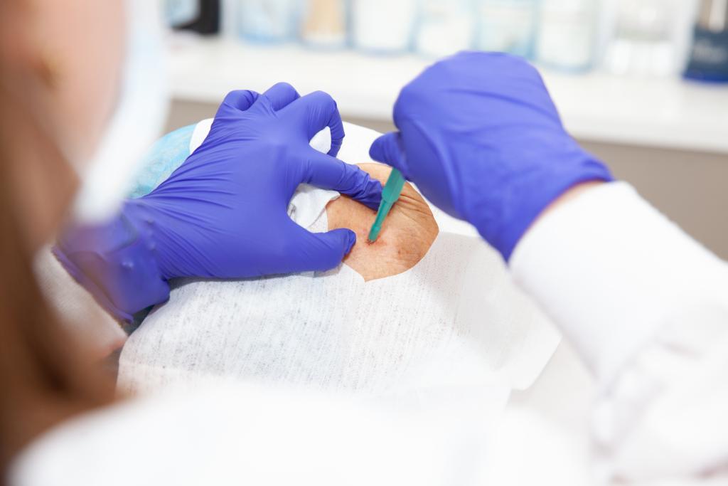 Skin Cancer Biopsy and Suturing Workshop